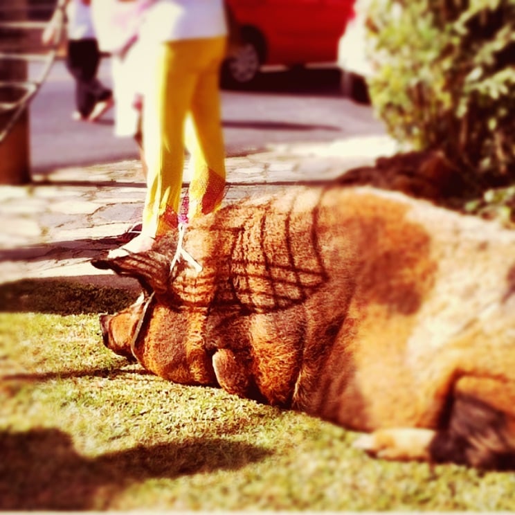 Olhe as ruas…