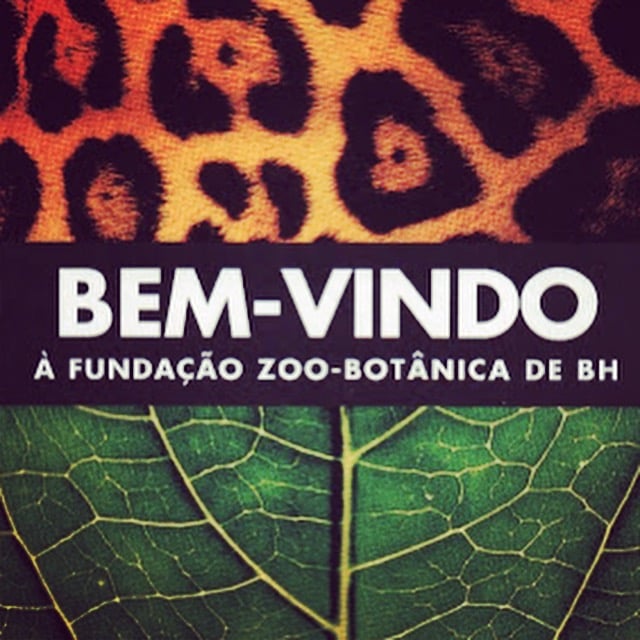 Zoológico | Belo Horizonte