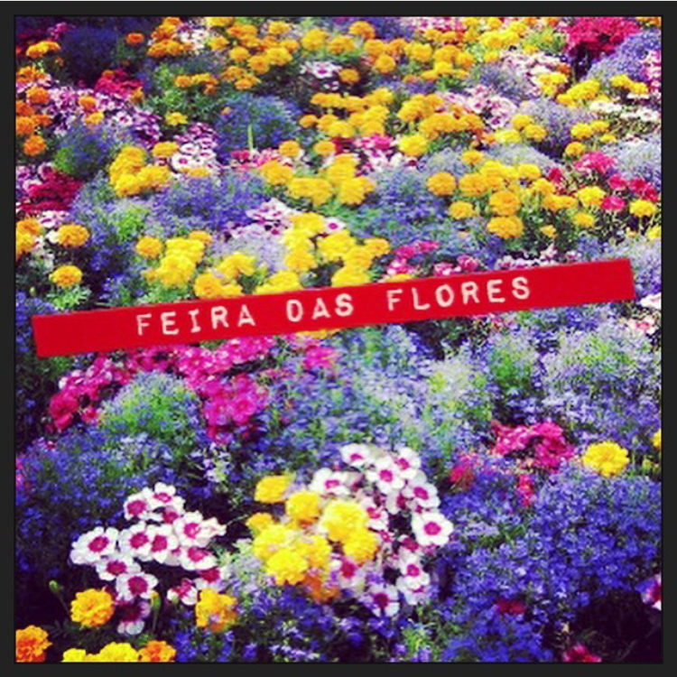 Feira das Flores