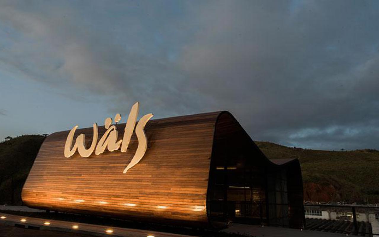 Ateliê da Wäls oferece carnaval regado a cerveja especial!