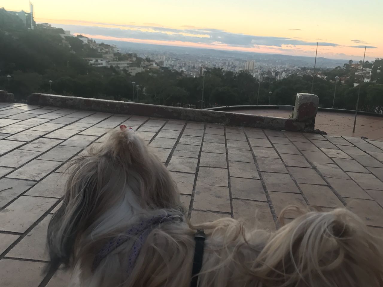 5 Praças que aumamos passear em Belo Horizonte