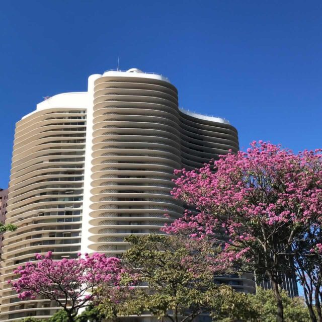Bora se conectar com a cidade, mesmo que na pandemia!!!