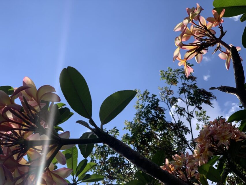 Fim de semana em Belo Horizonte #26denovembro2020