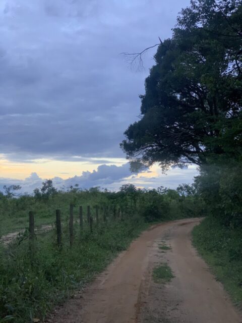 Entenda: quem faz um ano feliz, é você!