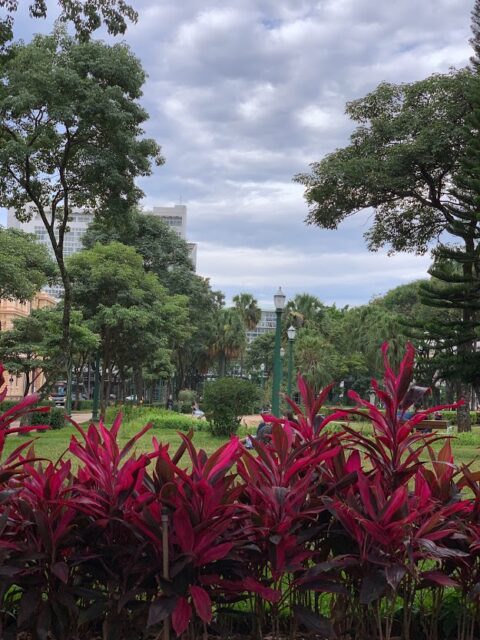 Quer saber mais sobre a Praça da Liberdade?