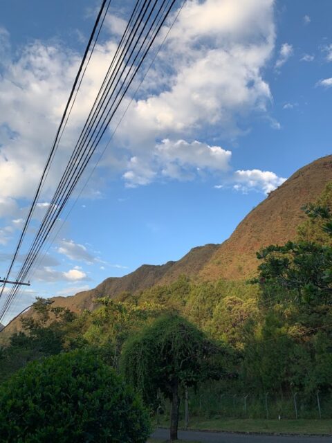 Ajude: a Serra do Curral grita por socorro