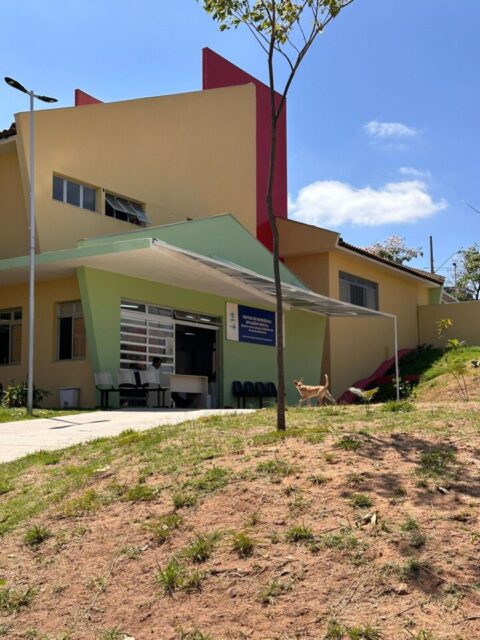 Projeto “Lavanda” empodera mulheres em tratamento