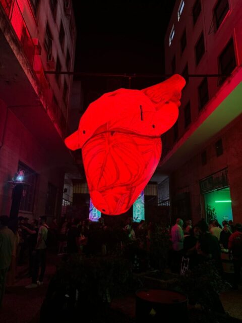 Festa da Luz
