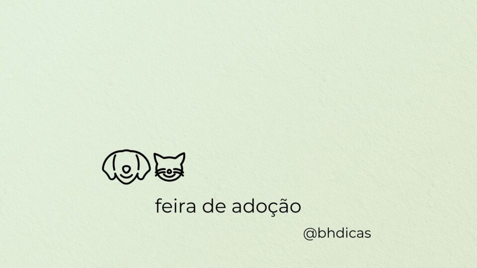 Feira de adoção