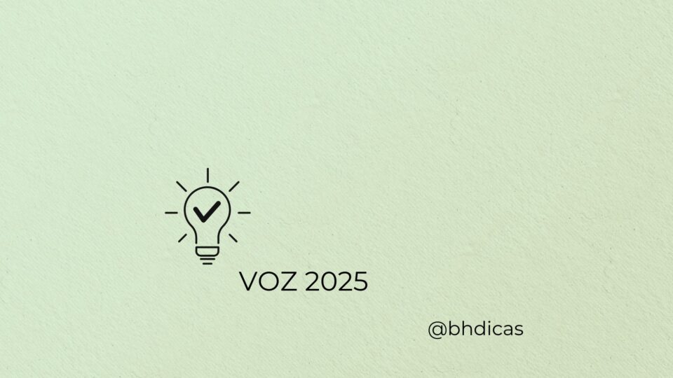 VOZ 2025