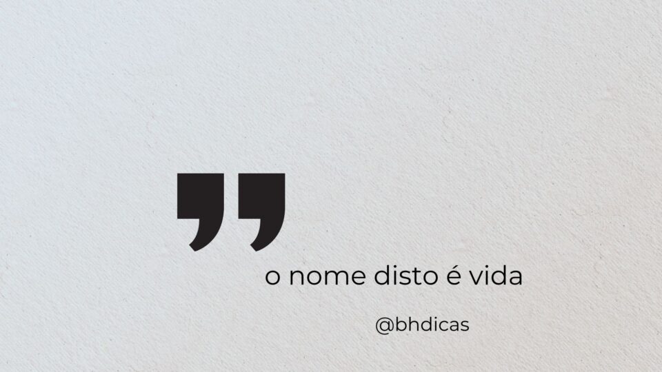 livro o nome disto é vida