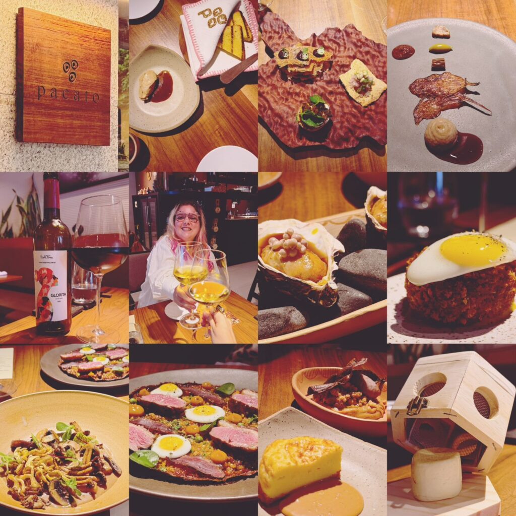 novidades restaurante pacato