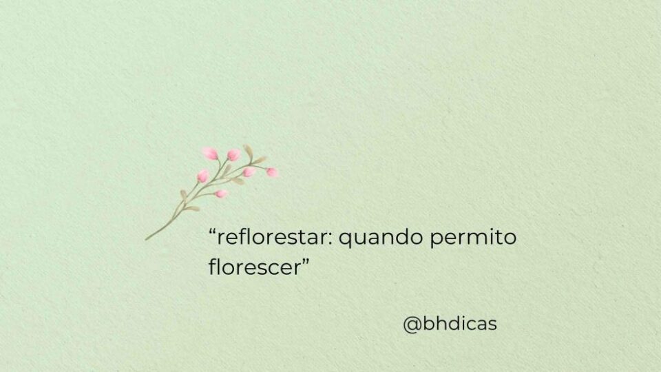 “Reflorestar: quando permito florescer” de Efe Godoy